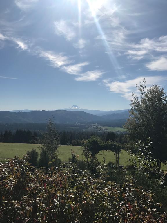 Husum Highlands Bed And Breakfast Esterno foto