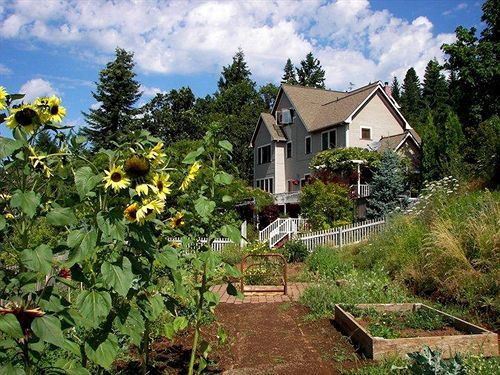Husum Highlands Bed And Breakfast Esterno foto